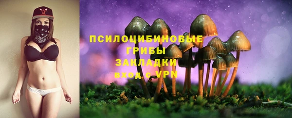 apvp Аркадак