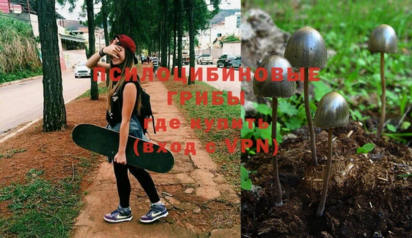 apvp Аркадак