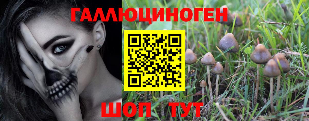 Галлюциногенные грибы мицелий Анапа