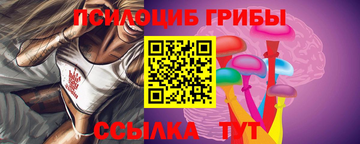 Псилоцибиновые грибы Cubensis  Вход с VPN  где купить наркотик  Анапа  Псилоцибиновые грибы мицелий 